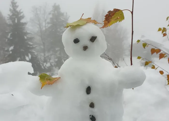 Holiday home Haus Alpenblick, Ganzes Ferienhaus, 5 Zi, 4 Baeder, Gratis Parkplatz, Sonnenterrasse